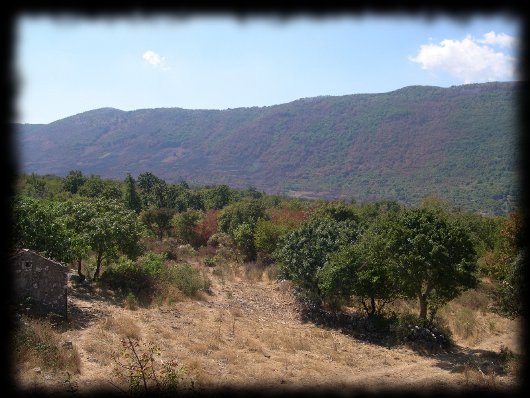 Azienda Pizzo sul Gargano